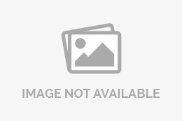 Content Specialist